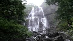 Amboli Waterfall : महाराष्ट्राच्या चेरापुंजीत आल्हाददायक वातावरण, आंबोलीचा मुख्य धबधबा प्रवाहित