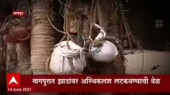 Nagpur : नागपूरमध्ये झाडांवर अस्थिकलश लटकवण्याची वेळ, कोरोनाकाळातलं भयाण वास्तव दाखवणारी दृश्यं