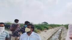 મોરબીના માળિયા બ્રાન્ચ કેનાલમાં સિંચાઈનાં નામે મીંડું, પૂર્વ ધારાસભ્ય ક્રાંતિ અમૃતિયાએ શું ઉચ્ચારી ચીમકી?