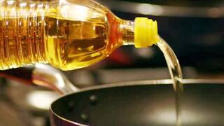 Edible Oil Price:  સિંગતેલના ભાવમાં એક મહિનામાં થયો મોટો ઘટાડો, જાણો કેટલો છે ભાવ