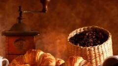 અસ્મિતા વિશેષ: આલીશાન મહેમાનગતિ