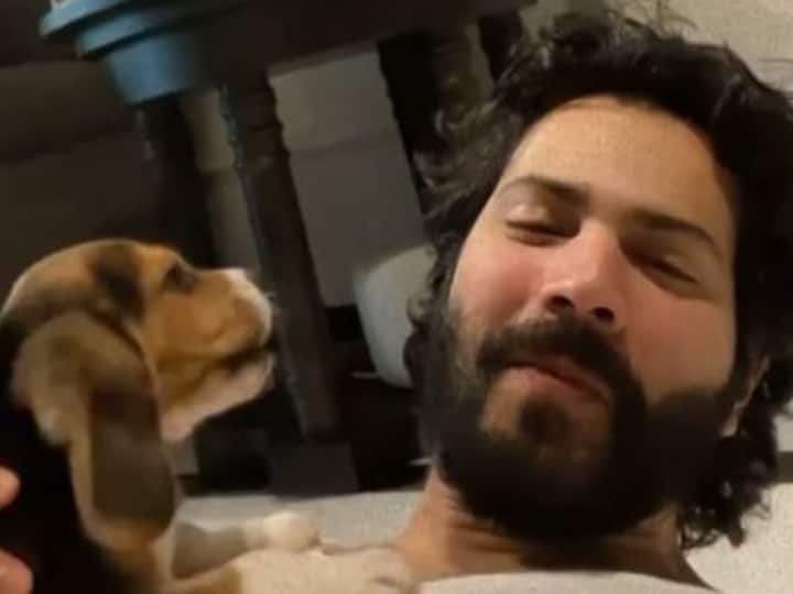 Varun Dhawan Welcomes New Family Member Beagle Puppy Pet Dog In New Instagram Post Watch | Varun Dhawan Embraces ‘Fatherhood’; Urges Fans To Help Him Name His ‘Boy’