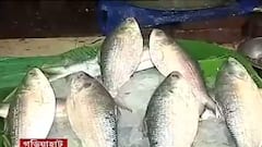 Hilsa Price: কোভিডকালের জামাইষষ্ঠীর আগে আকাশছোঁয়া ইলিশের দাম