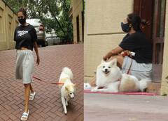 घर के बाहर Pet Casper के साथ कुछ यूं बैठी दिखीं Malaika Arora, आखिर किसका कर रही थीं इंतजार?