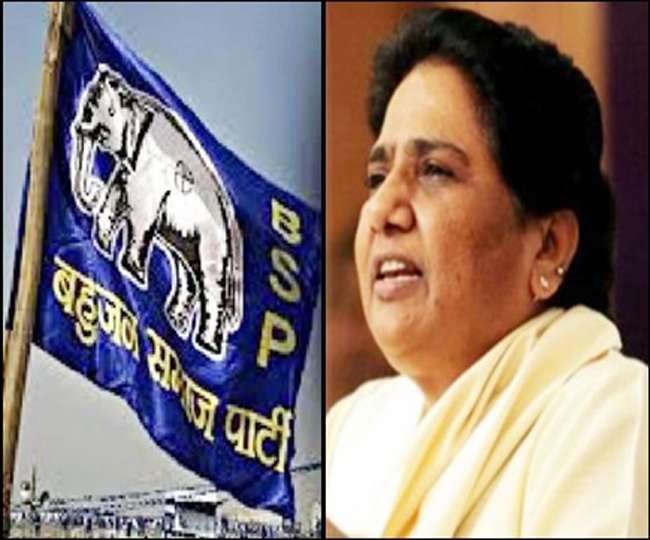 The arrival of the BSP supremo will remove the desperation among the  downtrodden, tremendous enthusiasm in the blue camp | मायावती की पहली जनसभा  आगरा में दो फरवरी को: बसपा सुप्रीमो के