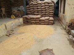 यूपी: गेहूं क्रय केंद्र बना 'घूस का केंद्र', किसानों के फसल की तौल के लिए मांग रहे पैसे