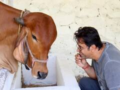 ஆக்‌ஷன் கிங் அர்ஜுனின் க்வாரண்டைன் கலாட்டா..!