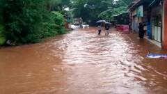 Sindhudurg Rain : सिंधुदुर्ग जिल्ह्यात सकाळपासून संततधार ; प्रमुख नद्यांनी इशारा पातळी ओलांडली