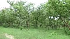 Ram Temple Land Row: Home ministry asks for report