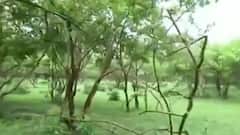 Amit Shah, JP Nadda और RSS ने Trust से मांगी रिपोर्ट | फटाफट खबरें