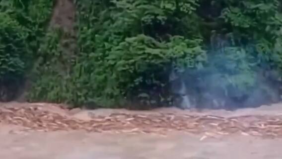 Swollen Indrawati river's devastating avatar kills one, washes away many