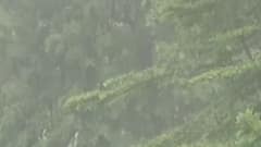 રાજ્યના કયા કયા વિસ્તારોમાં હવામાન વિભાગે કરી હળવા વરસાદની આગાહી?,જુઓ વીડિયો