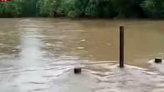 Sindhudurg Rain : तळकोकणात मुसळधार पाऊस, तेरेखोल नदीला पूर ; बांदा बाजारपेठेत पुराचं पाणी घुसल