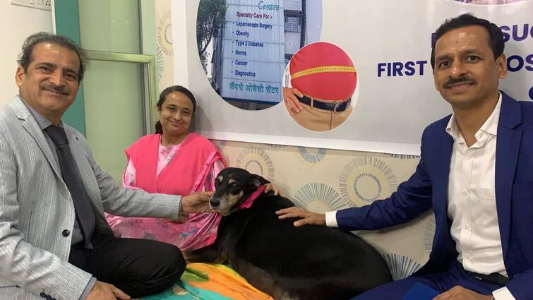 Pune Weight loss surgery on dogs, Success in losing 5 kg weight in a week after surgery माणसांच वजन कमी करणारी शस्त्रक्रिया श्वानावर! पुण्यात शस्त्रक्रियेनंतर आठवडाभरात 5 किलो वजन कमी करण्यात यश