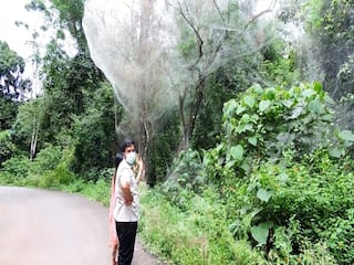 Kodaikanal Moth Update: பிரம்மாண்ட  கூடாரம் கட்டிய அந்துப்பூச்சி - ஆர்வத்துடன் பார்க்கும் மக்கள்!