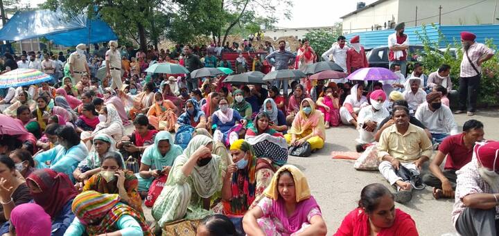 ਪੰਜਾਬ ਦੇ ਕੱਚੇ ਅਧਿਆਪਕਾਂ ਨੇ ਅੱਜ ਮੁਹਾਲੀ ਵਿੱਚ ਪੰਜਾਬ ਸਕੂਲ ਸਿੱਖਿਆ ਬੋਰਡ ਦੇ ਦਫਤਰ ਬਾਹਰ ਰੋਸ ਪ੍ਰਦਰਸ਼ਨ ਕੀਤਾ। 