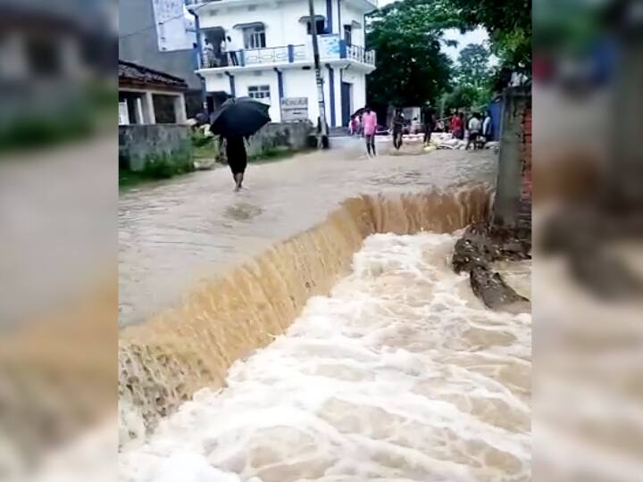 Many areas of Bagaha submerged due to heavy rain balmiki nagar tiger reserve is full of water ann बगहाः मूसलाधार बारिश से कई इलाके डूबे, घर की छत पर चढ़े लोग; वाल्मीकि टाइगर रिजर्व में भरा पानी