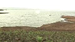 WEB EXCLUSIVE | 16 जून उजाडूनही नाशिकमध्ये अद्याप पाऊस नाही, नाशिककरांच्या चिंता वाढल्या