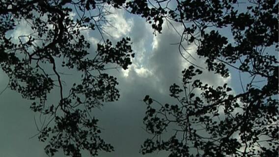 Weather Update: কলকাতা-সহ দক্ষিণবঙ্গে শুক্রবার বাড়বে বৃষ্টি, ভারী বৃষ্টির পূর্বাভাস উত্তরবঙ্গের কয়েকটি জেলাতেও