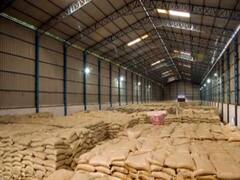 केंद्र सरकार ने इथेनॉल प्रोडक्शन के लिए बांटा 78 हजार टन चावल, केंद्रीय खाद्य सचिव ने दी जानकारी