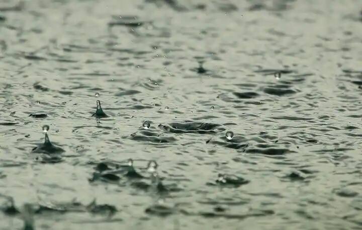 উত্তরবঙ্গে আগামী কয়েকদিন বজ্রবিদ্যুৎ-সহ হালকা থেকে মাঝারি বৃষ্টি হবে।
