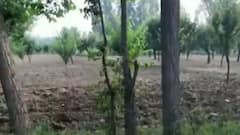 Srinagar: मुठभेड़ में सुरक्षाबलों ने एक आतंकी को मार गिराया