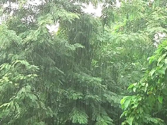 আজ ও কাল ভারী বৃষ্টি হবে দুই ২৪ পরগনা, নদিয়া ও মুর্শিদাবাদে।