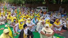 ਜੇਲ੍ਹਾਂ 'ਚ ਬੰਦ ਨਿਰਦੋਸ਼ ਬੁੱਧੀਜੀਵੀਆਂ ਦੀ ਰਿਹਾਈ ਲਈ BKU ਉਗਰਾਹਾਂ ਦਾ ਧਰਨਾ, ਵੇਖੋ ਤਸਵੀਰਾਂ