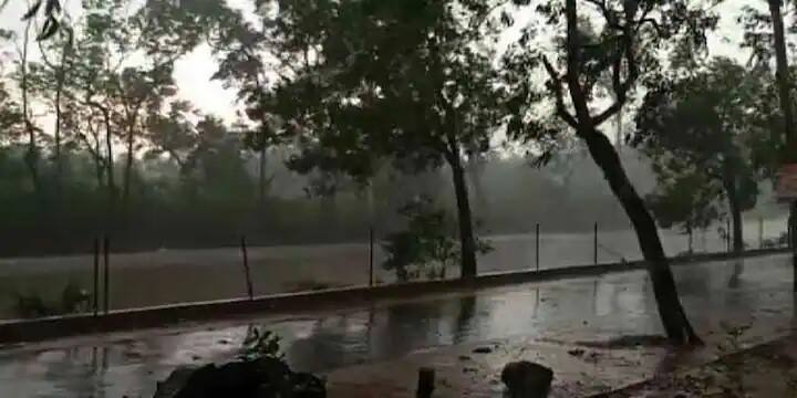 মালদা, দুই দিনাজপুর ও উত্তরবঙ্গের আরও কয়েকটি জেলায় আজ ভারী বৃষ্টির সম্ভবনা। সবমিলিয়ে পুরো রাজ্যের বৃষ্টির পরিস্থিতি রয়েছে।