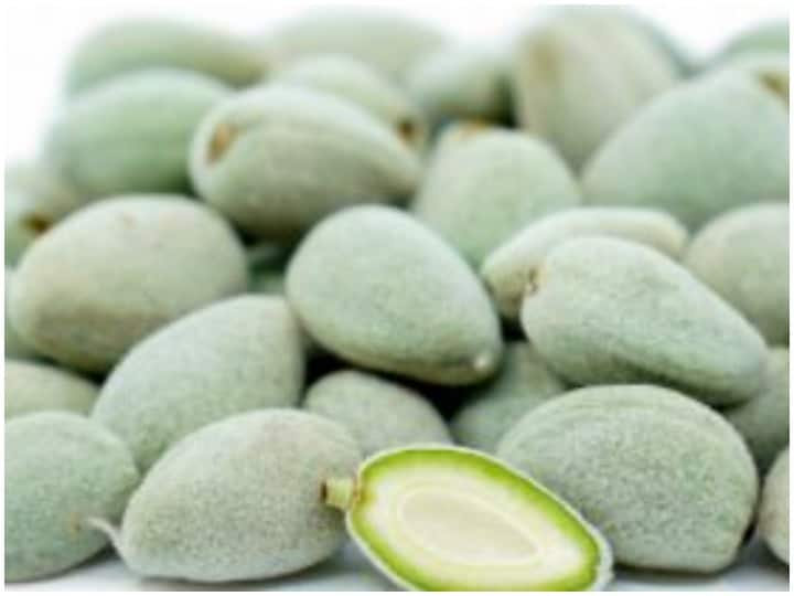 Health Tips: Eat green almonds in summer and see the results of if Health Tips: ઉનાળામાં ખાવ લીલી બદામ, ઈમ્યુનિટી બનાવશે મજબૂત સાથે થશે આ ફાયદા