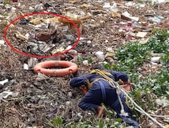 Rajkot : જીવના જોખમે કિચડમાં ફસાયેલા ઘોડાના રેસ્ક્યૂની અદભૂત તસવીરો આવી સામે, જોઇને ફાયર બ્રિગેડને કરશો સલામ!