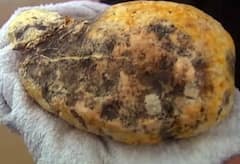 3 arrested with Ambergris worth crores in Mumbai