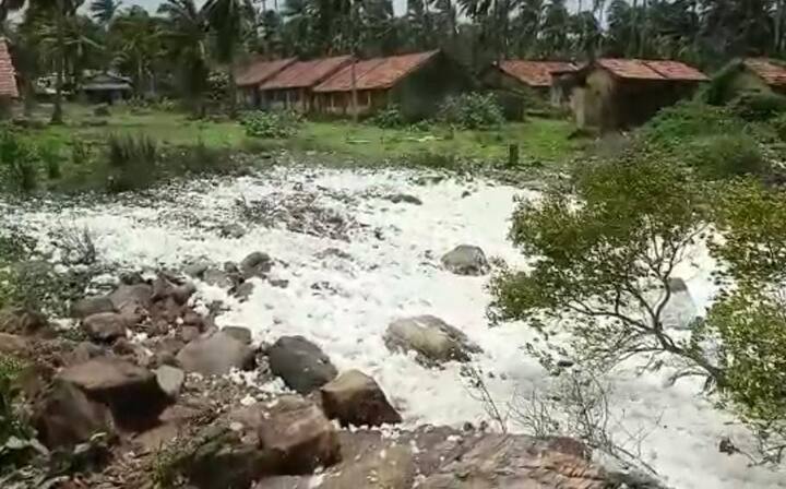 मालवणात किनाऱ्यावर लाटांचा तयार होणारा फेस मुक्तपणे वाऱ्याने उडून आजूबाजूला पसरत असून हा नजरा अनेकांनी मोबाईल कॅमेऱ्यात कैद केला आहे. एकूणच बर्फाळ प्रदेशातील दृष्य मालवण किनारपट्टीवर दिसून येत आहे.