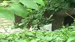 Kolkata Waterlogging: কলকাতায় জমা জল নামাতে খোলা হল গঙ্গার বেশ কয়েকটি লকগেট