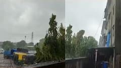 રાજ્યમાં વરસાદની શરૂઆત થતાં ઠેર ઠેર ભરાયા પાણી, લોકોને પડી મુશ્કેલી, ઓફ લાઇન શિક્ષણ માટે કોણે રજૂ કર્યો પરિપત્ર? જુઓ, સમાચાર શતક