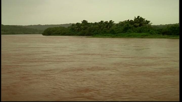 Maharashtra news heavy rains begin in Ratnagiri district disrupting public life Ratnagiri  Rain : रत्नागिरी जिल्ह्यात मुसळधार पाऊस सुरु, जनजीवन विस्कळीत