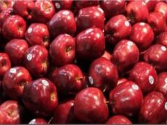 UP: लोगों की सेहत के साथ खिलवाड़ कर रहा है चाइनीज फूजी सेब, हैरान करने वाली है ये बात 