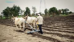 नांदेडमध्ये प्रधानमंत्री किसान योजनेत 30 हजार बोगस लाभार्थी, अज्ञात आरोपीविरोधात गुन्हा दाखल