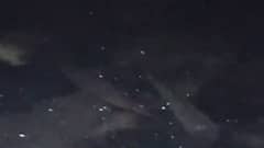 Must watch if you wish to see fishes at a railway station