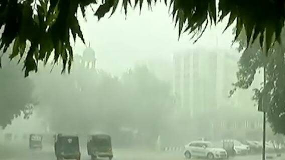 Vadodara: થોડાક જ વરસાદે ખોલી VMCની પ્રિ-મોન્સૂન કામગીરીની પોલ, કેટલા વિસ્તારોમાં ભરાયા પાણી?