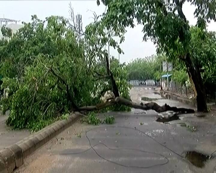 માણેકબાગથી આંબાવાડી જવાના આંતરિક માર્ગ ઉપર વિશાળ વૃક્ષ રોડ ઉપર ધરાશાયી થયું. જેના કારણે વાહનચાલકોને હાલાકી તો પડી પણ વાહનવ્યવહાર પર પણ અસર પડી.તાઉતે વાવાઝોડા સમયે શહેરમાં 2600 મોટા વૃક્ષ ધરાશાયી થયા હતા. તેમાંથી પણ કોઈ શીખ ન મેળવી હોય તેમ AMC એ યોગ્ય ટ્રીમિંગ ન કરતા અડધા વૃક્ષ રોડ પર પડેલા નજરે પડ્યા.