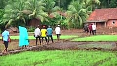 काय आहे मृग नक्षत्रातील 'राखण' प्रथा? 21व्या शतकातही अनोखी परंपरा जपणारी कोकणातली गावं!