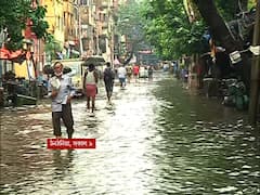 Kolkata Rains Update: এখনও ভাসছে বহু এলাকা, এক ঝলকে কলকাতার জল-যন্ত্রণার ছবি