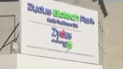 जल्द आ सकती है कोरोना की दूसरी स्वदेशी वैक्सीन, इस कंपनी ने सरकार से मांगी मंजूरी | सीधे फील्ड से