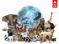 TWITTER-ல் ஓங்கி அடித்த #ஒன்றியஉயிரினங்கள் |