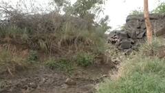 રાજકોટમાં ચેકડેમની હાલત બિસ્માર થતાં ખેડૂતો થયા લાચાર, પાણી વિના ખેતીને પણ નુકસાન