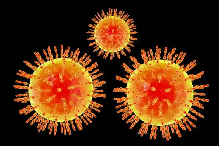 New Covid-19 Variant Lambda Identified, Know About Its Origin And Threat in details Lambda- Covid19 Variant: ছড়িয়ে পড়েছে ২৯টি দেশে, দক্ষিণ আমেরিকায় পাওয়া গেল করোনার নতুন ধরন ‘ল্যাম্বদা’