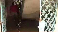 Heavy Rain Effect: মহেশতলার আবাসনে জল ঢুকে বিকল একাধিক গাড়ি, জমা জলে সাপের ঘোরাঘুরি, আতঙ্কে বাসিন্দারা