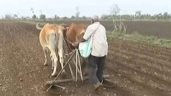 વરસાદ સારો શરૂ થતાં ખેડૂતોએ ખેતીની કરી શરૂઆત, જુઓ ક્યાં કેટલું કરાયું વાવેતર?