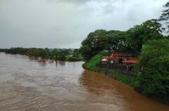 In Pics : पंचगंगा-कृष्णा नदीच्या पाणी पातळीत वाढ, कोल्हापूर-सांगली जिल्ह्यातील नदीकाठच्या गावांना सतर्कतेचा इशारा
